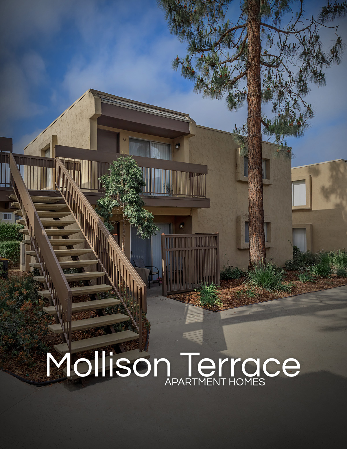 Mollison Terrace Property Photo